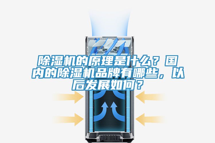 除濕機的原理是什么?國內的除濕機品牌有哪些,以后發(fā)展如何?