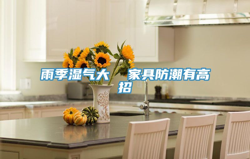 雨季濕氣大 家具防潮有高招