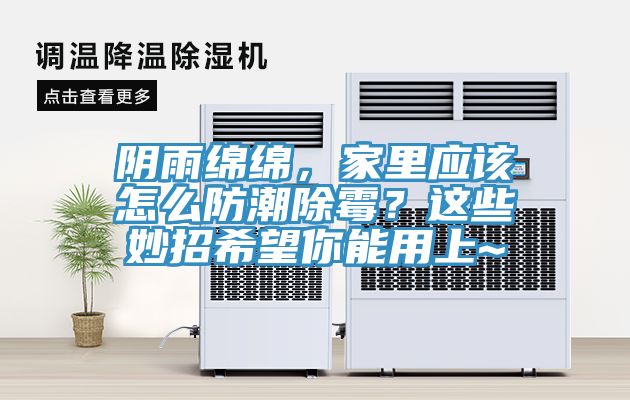 陰雨綿綿，家里應該怎么防潮除霉？這些妙招希望你能用上~