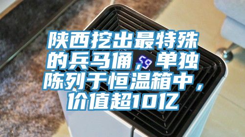 陜西挖出最特殊的兵馬俑，單獨陳列于恒溫箱中，價值超10億