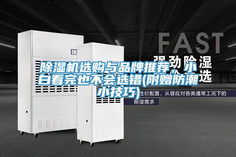 除濕機選購與品牌推薦，小白看完也不會選錯(附贈防潮小技巧)